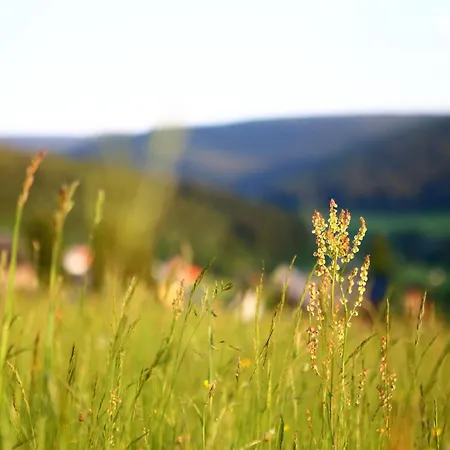 Naturpension Max-huette ברייטנברון