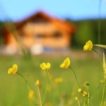 Naturpension Max-huette בית הארחה ברייטנברון