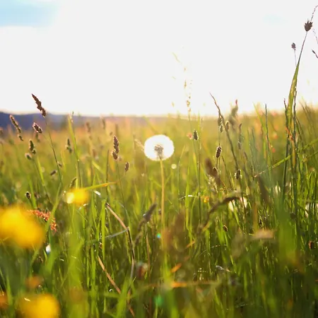 Naturpension Max-huette 3* ברייטנברון